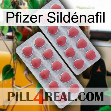 Pfizer Sildénafil 19